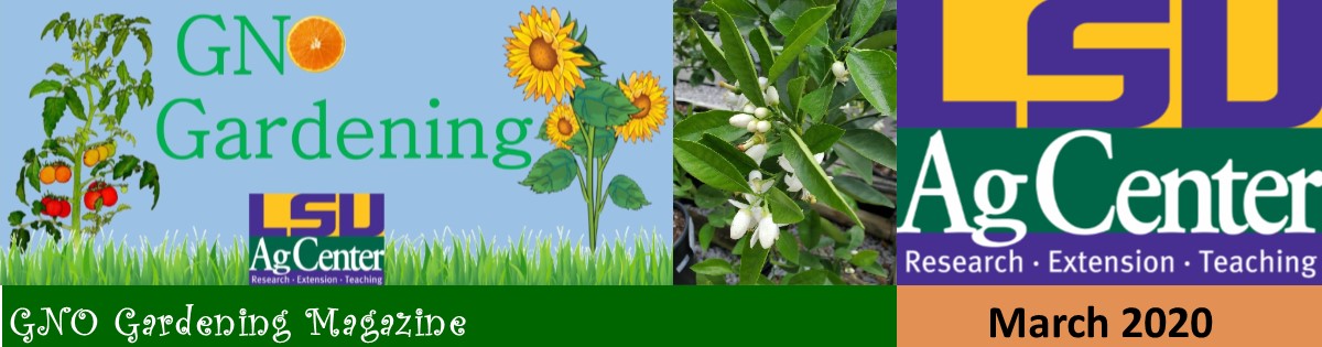 GNO Gardening - March 2020
